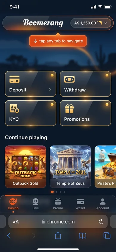 Using the Boomerang app — login & navigation – Boomerang